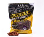 Competition Z Soluble 24 mm 5 kg